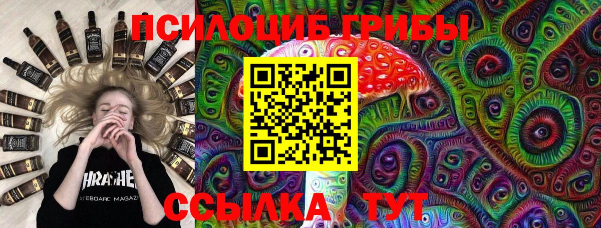 Псилоцибиновые грибы Psilocybine cubensis  Галлюциногенные грибы Psilocybe  сколько стоит  Вход с VPN  Горно-Алтайск 